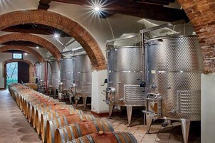 Una cantina vinicola con file di botti di legno e vasche di fermentazione in acciaio inox.