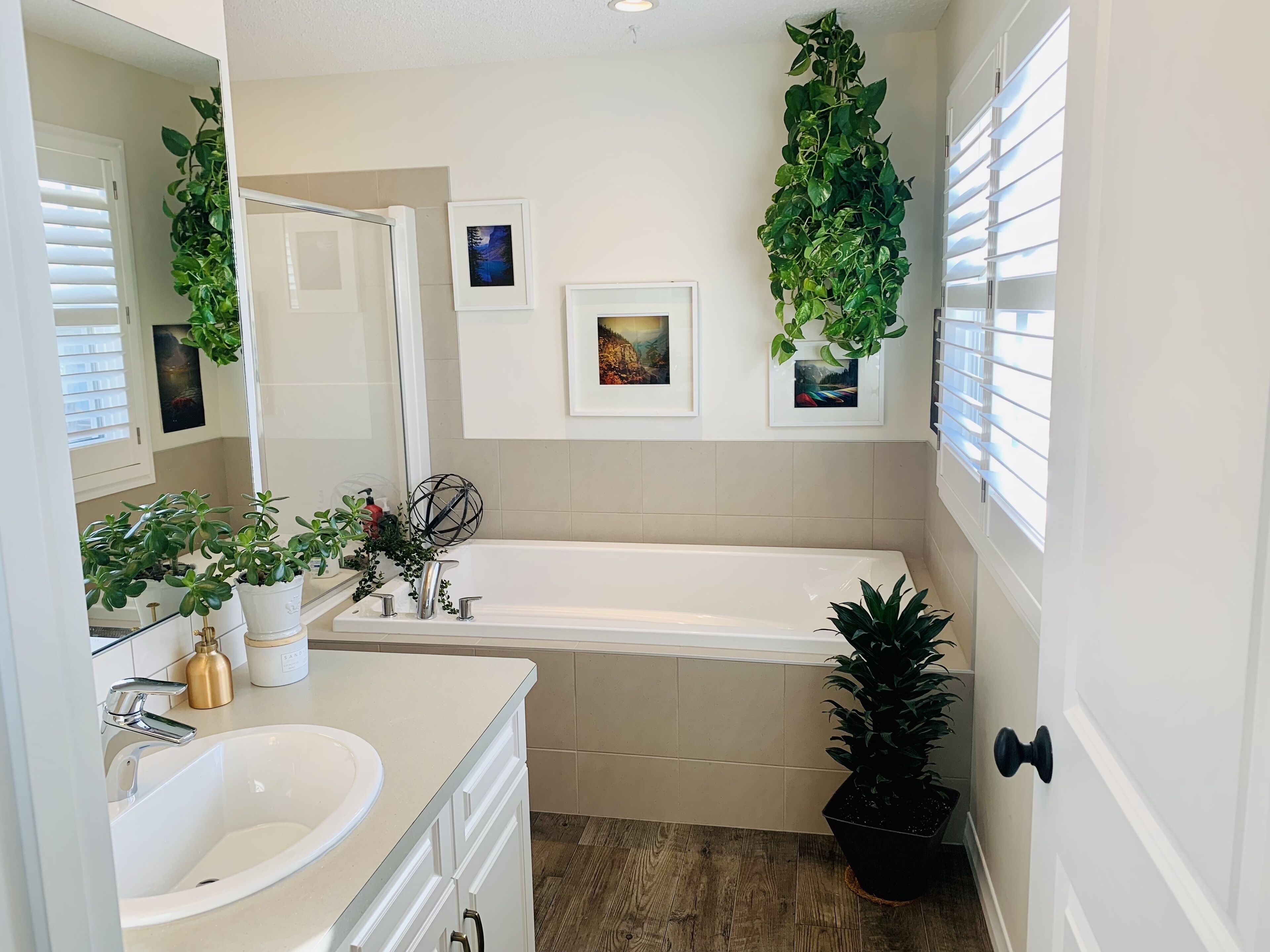 Dogs are welcome in our family friendly 3 bedroom home