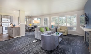 TV, fireplace, video games, DVD player