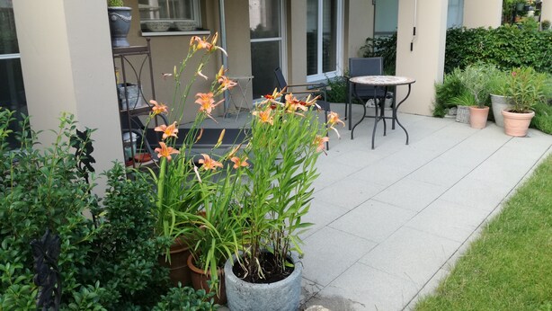 A patio with a table and chairs, potted plants, and a view of the building's exterior.