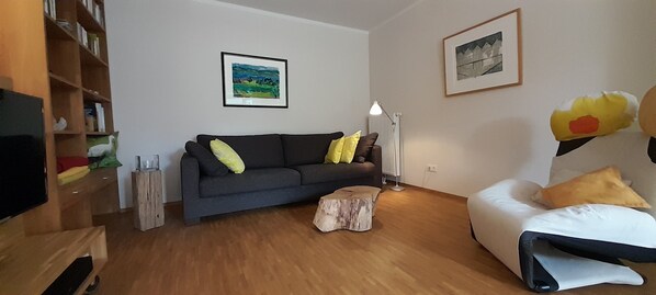 TV, books, stereo - Luxurious apartment (2 rooms; 70 sqm; terrace; garden; air conditioning ...) (Buggingen)