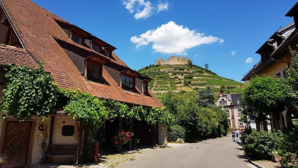 A street with traditional buildings, a hill with a castle, and a clear blue sky. - Luxurious apartment (2 rooms; 70 sqm; terrace; garden; air conditioning...) (Buggingen)