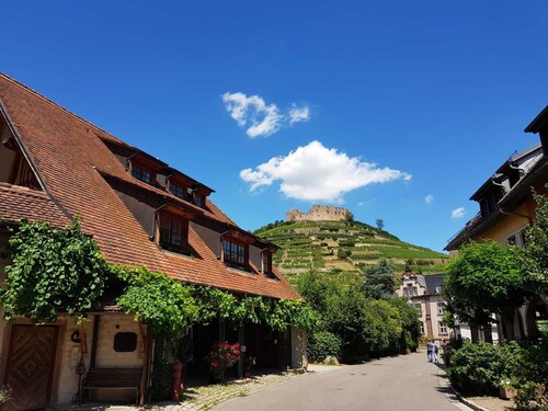 Luxuriöse Ferienwohnung (2 Zimmer; 70 qm; Terrasse; Garten; Klimaanlage ...)