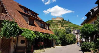 Luxurious apartment (2 rooms; 70 sqm; terrace; garden; air conditioning ...)