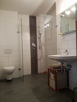 A modern bathroom with a glass shower enclosure, a white toilet, a sink with a mirror above, and a towel rack. - Luxury apartment (2 rooms; 70 m²; terrace; garden; air conditioning...) (Buggingen)