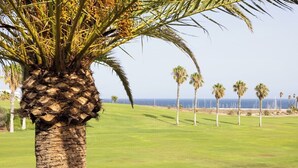 Una palmera con un campo de golf al fondo.