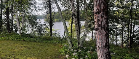 Boendeområde