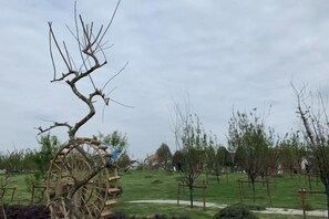 Jardines del alojamiento