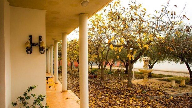 Un espacio al aire libre techado con columnas, plantas en macetas y un sendero.