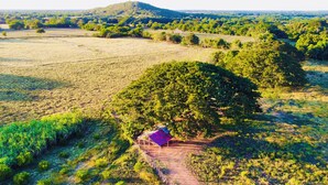 Vue aérienne d’un paysage rural avec un petit bâtiment entouré d’arbres et de champs.