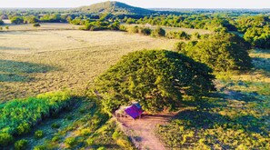 Situated on a hillside, this charming structure blends into the natural surroundings.
