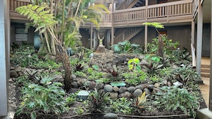 Un edificio de varios niveles con un jardín central que incluye diversas plantas y un sendero de piedra.