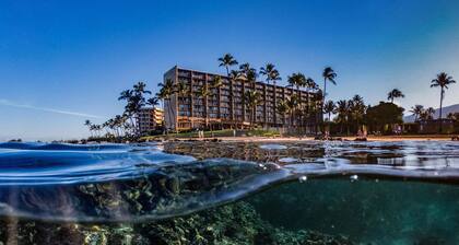Hale Hui Kai 202 - Keawakapu Beach, Garden Views, Steps to the Beach, Split AC!
