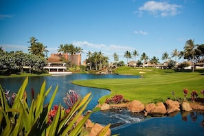 Golf