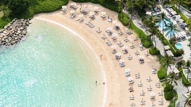 An aerial view of a beach resort with rows of sun loungers and umbrellas, a swimming pool, and lush greenery.