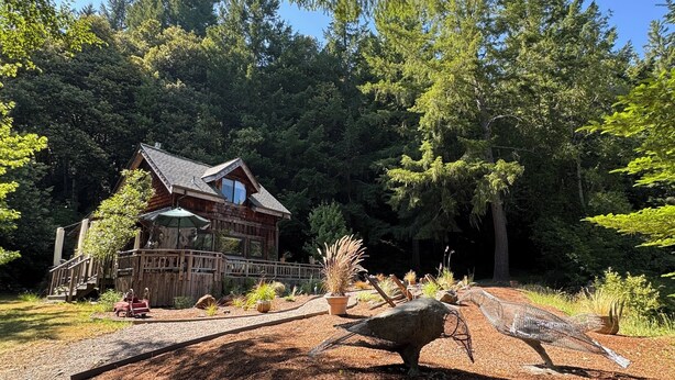 A rustic cabin surrounded by dense forest, with a gravel path leading to a wooden deck.