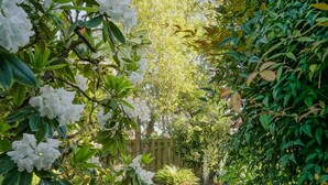 Un sentier de jardin, ponctué de pierres plates, qui serpente à travers une végétation luxuriante et des plantes en fleurs.