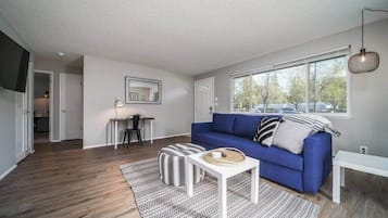 Fernseher, Arbeitsbereiche