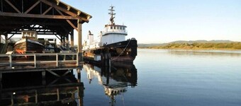 #StayinMyDistrict Historic Apartment Near Downtown