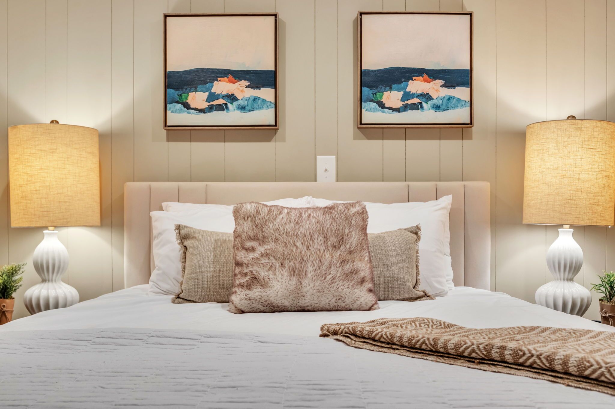 Hike Blue Ridge Fall Foliage-Dog Friendly