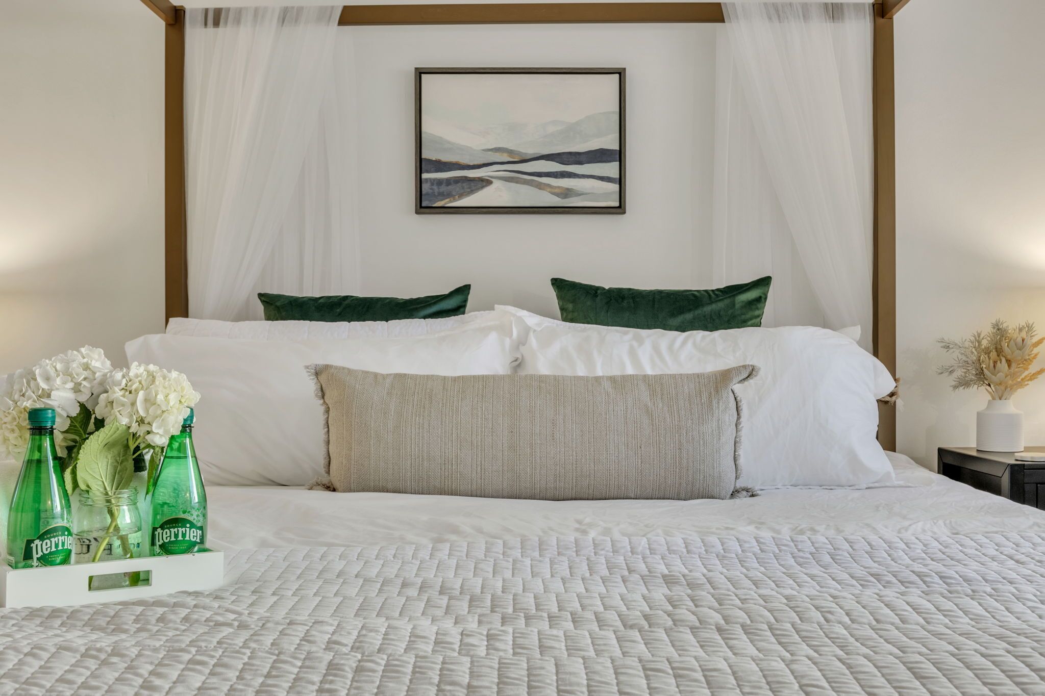 Hike Blue Ridge Fall Foliage-Dog Friendly