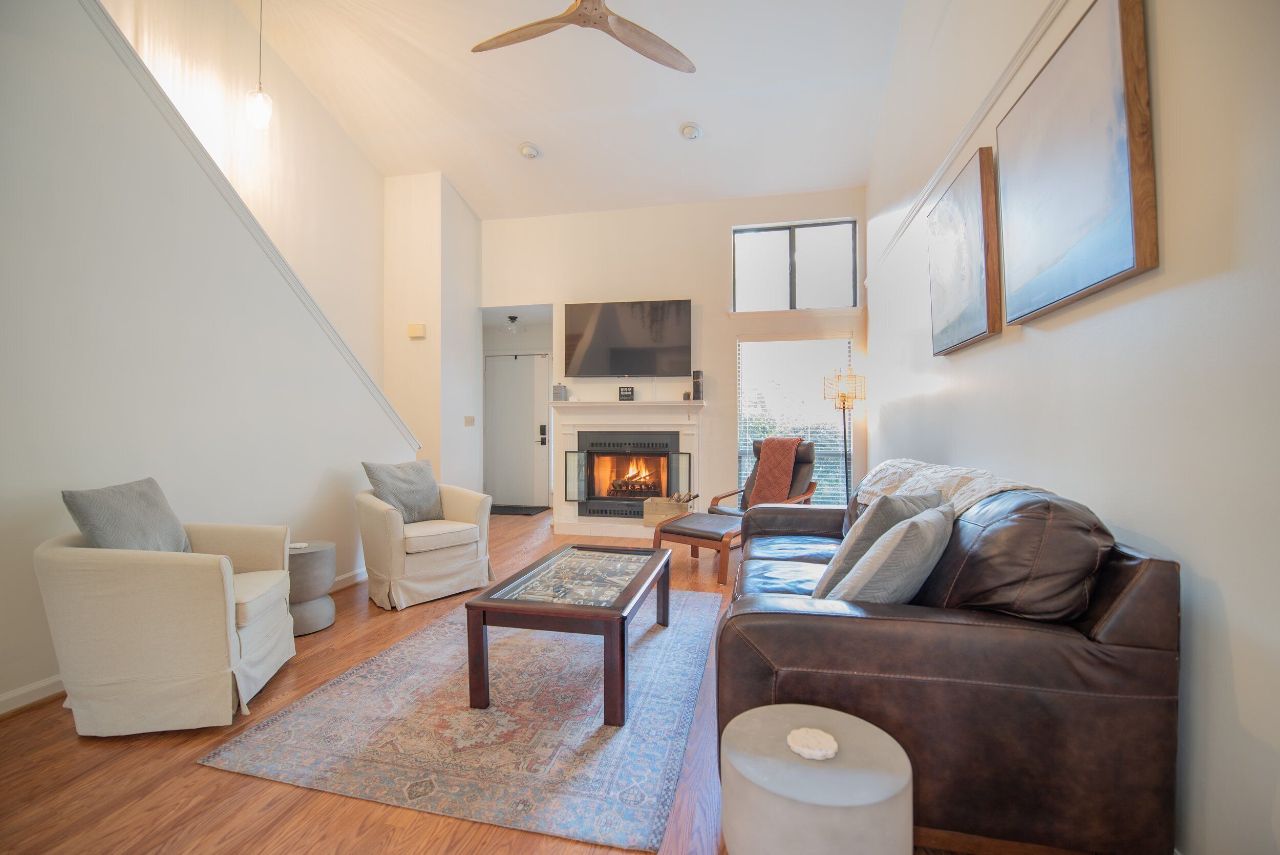 Hike Blue Ridge Fall Foliage-Dog Friendly