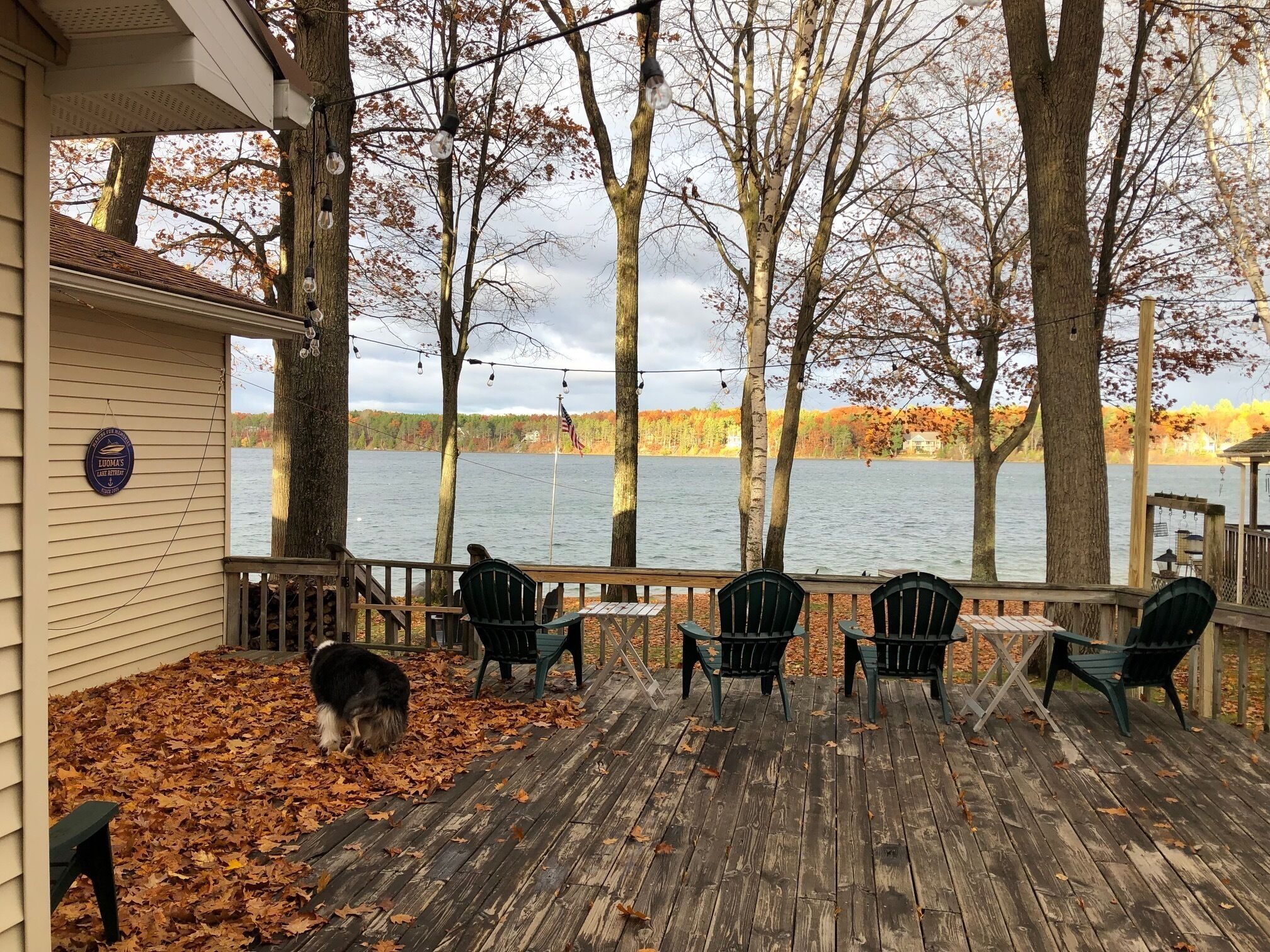 Acorn Landing in Cheboygan: Book for fall colors!