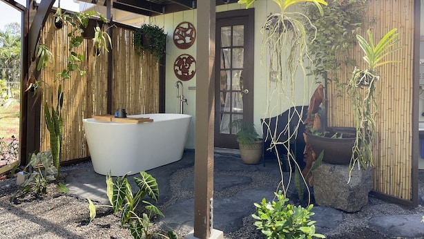Une salle de bain privative dotée d’une baignoire sur pieds, entourée de différentes plantes en pot et d’un mur en bambou.