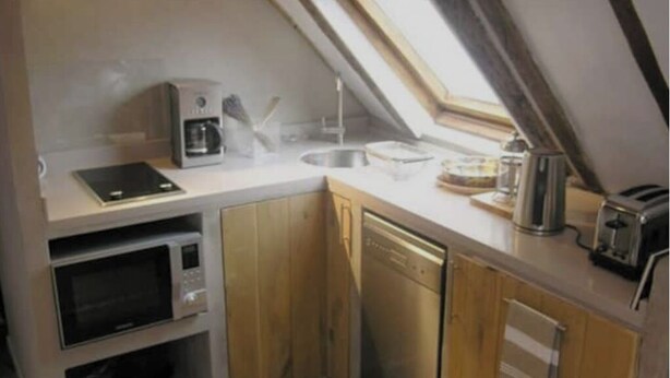 A compact kitchen with a skylight, built-in microwave, and dishwasher.