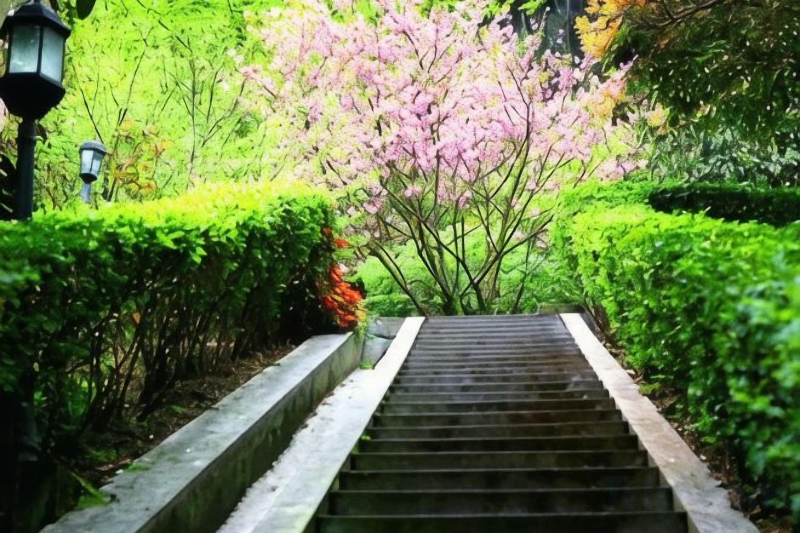 A staircase leading to a garden with blooming trees.