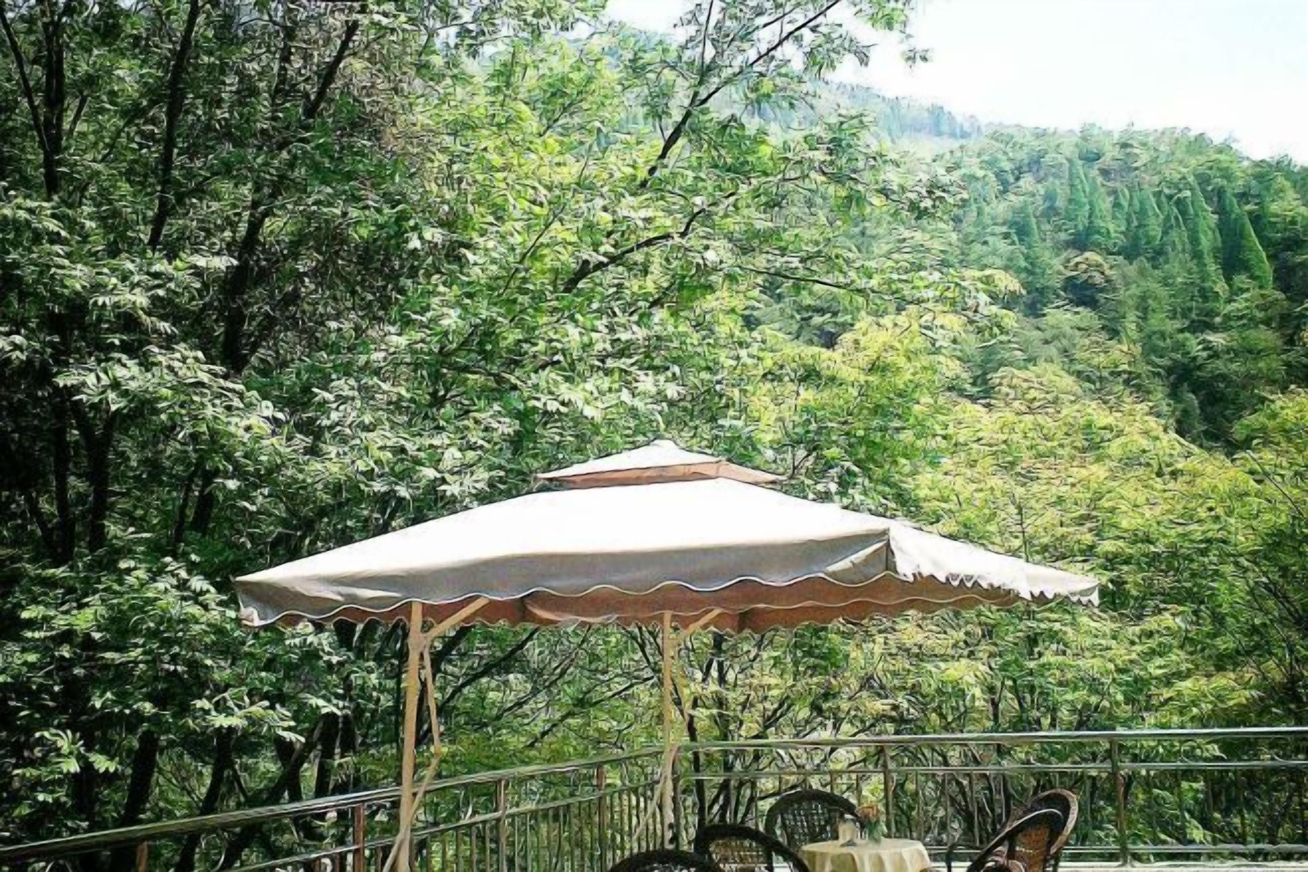 A balcony with a table and chairs, surrounded by lush greenery and a mountainous backdrop.