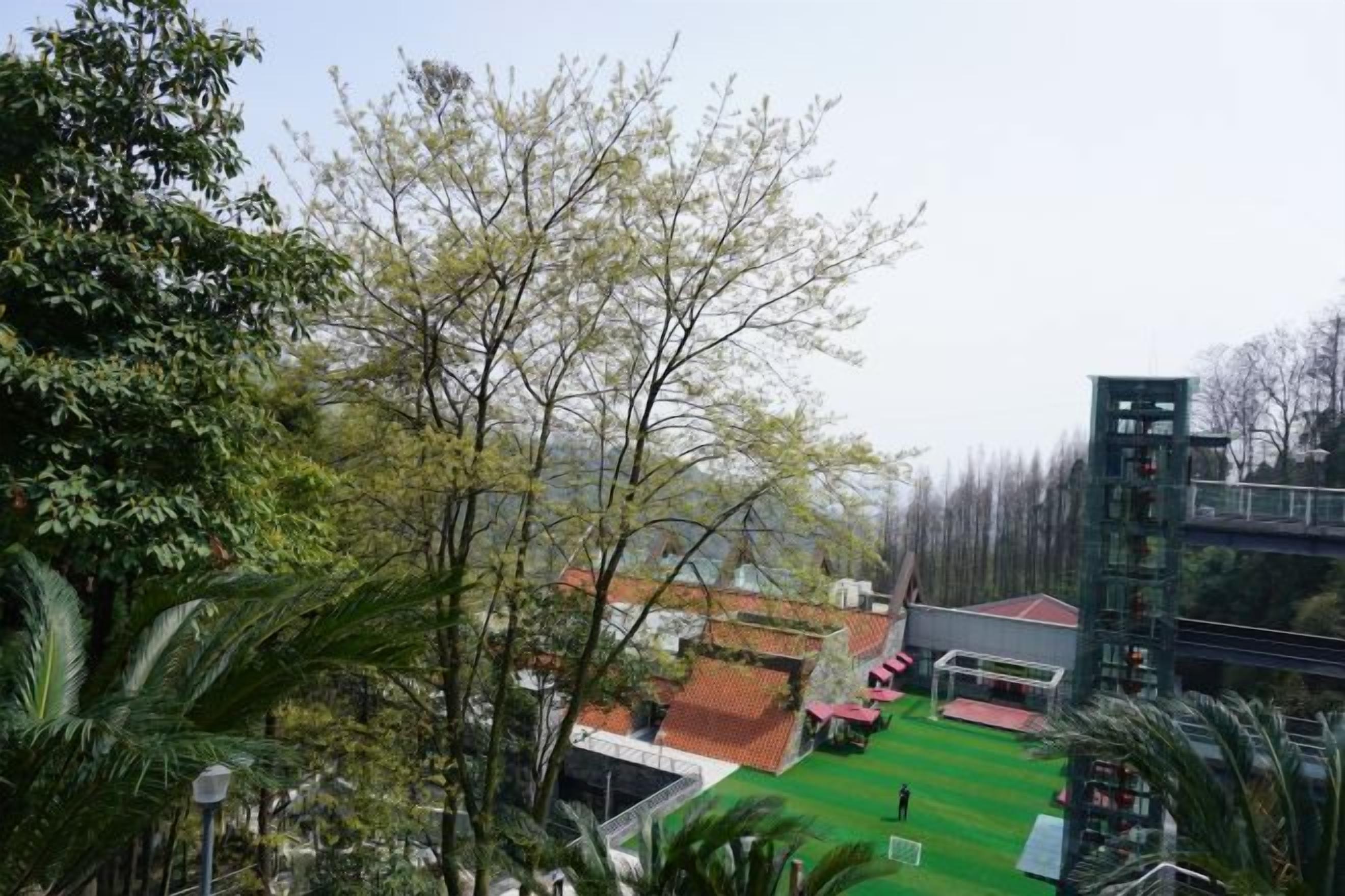 Un barrio residencial con un césped verde, un edificio de techo rojo y una estructura alta al fondo.