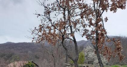 Stone cottage early 20th century locality Sbuttoni "the Maria's home "