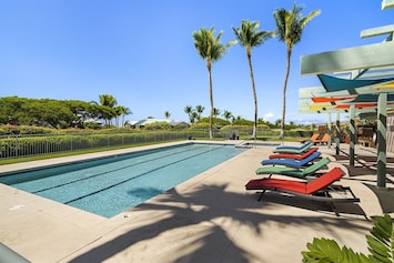 Lap pool with palm tree views.