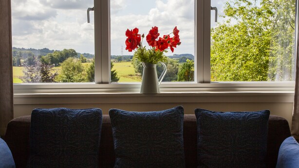 Blick durch ein Fenster, auf einem Fensterbrett steht eine Vase mit roten Blumen, ein Stuhl mit gemustertem Kissen und eine Landschaft mit Bäumen und Stromleitungen.