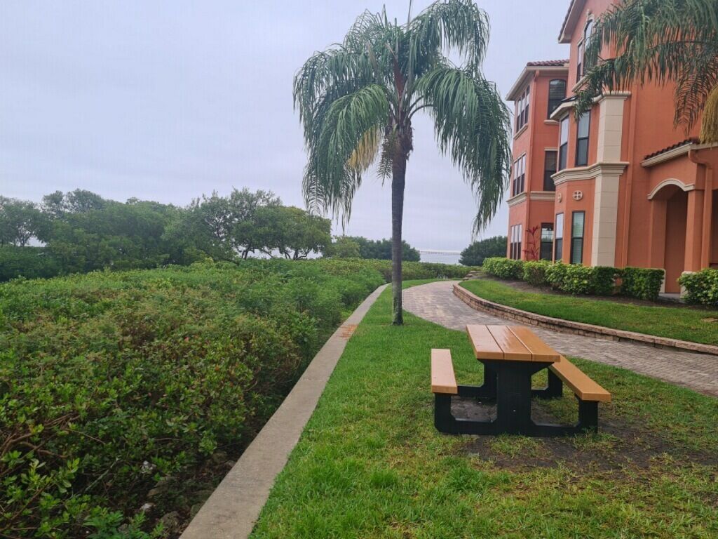 Un espacio en un parque con una palmera, una mesa de picnic y un edificio al fondo.