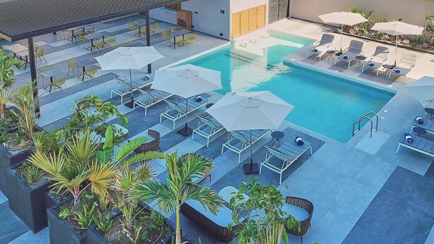 Un área de piscina en la azotea con sillones de descanso y sombrillas, rodeada de plantas en macetas.