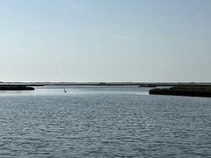A calm body of water with a bird flying over it.
