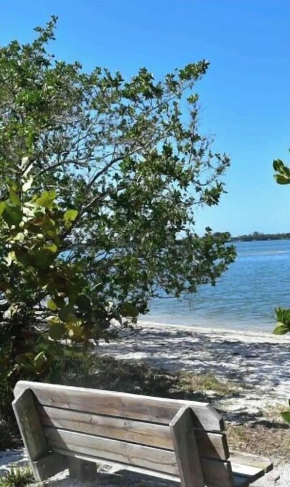 Situated on a sandy beach, this bench offers a serene view of the calm water.