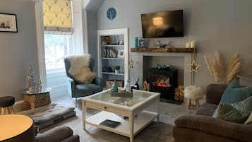 Smart TV, fireplace, books