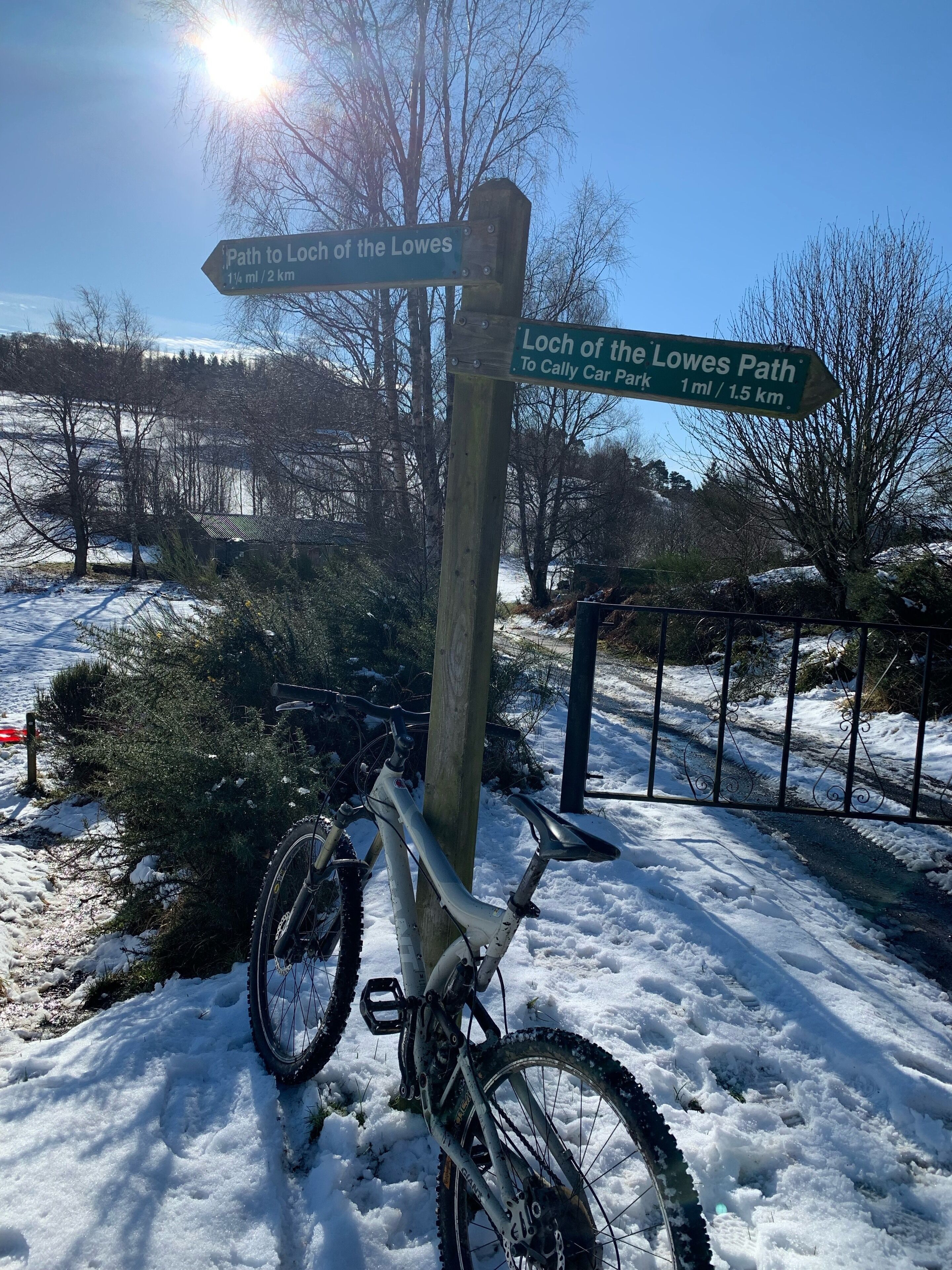 Un cartel de madera con indicaciones de senderos, una bicicleta apoyada en él, y un paisaje nevado con árboles y cielo despejado.