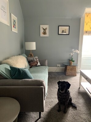 Een slaapkamer met een bed, een stoel, een lamp, een hond en ingelijste foto’s aan de muur.