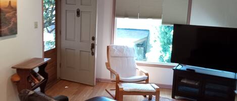 Älytelevisio, kirjoja