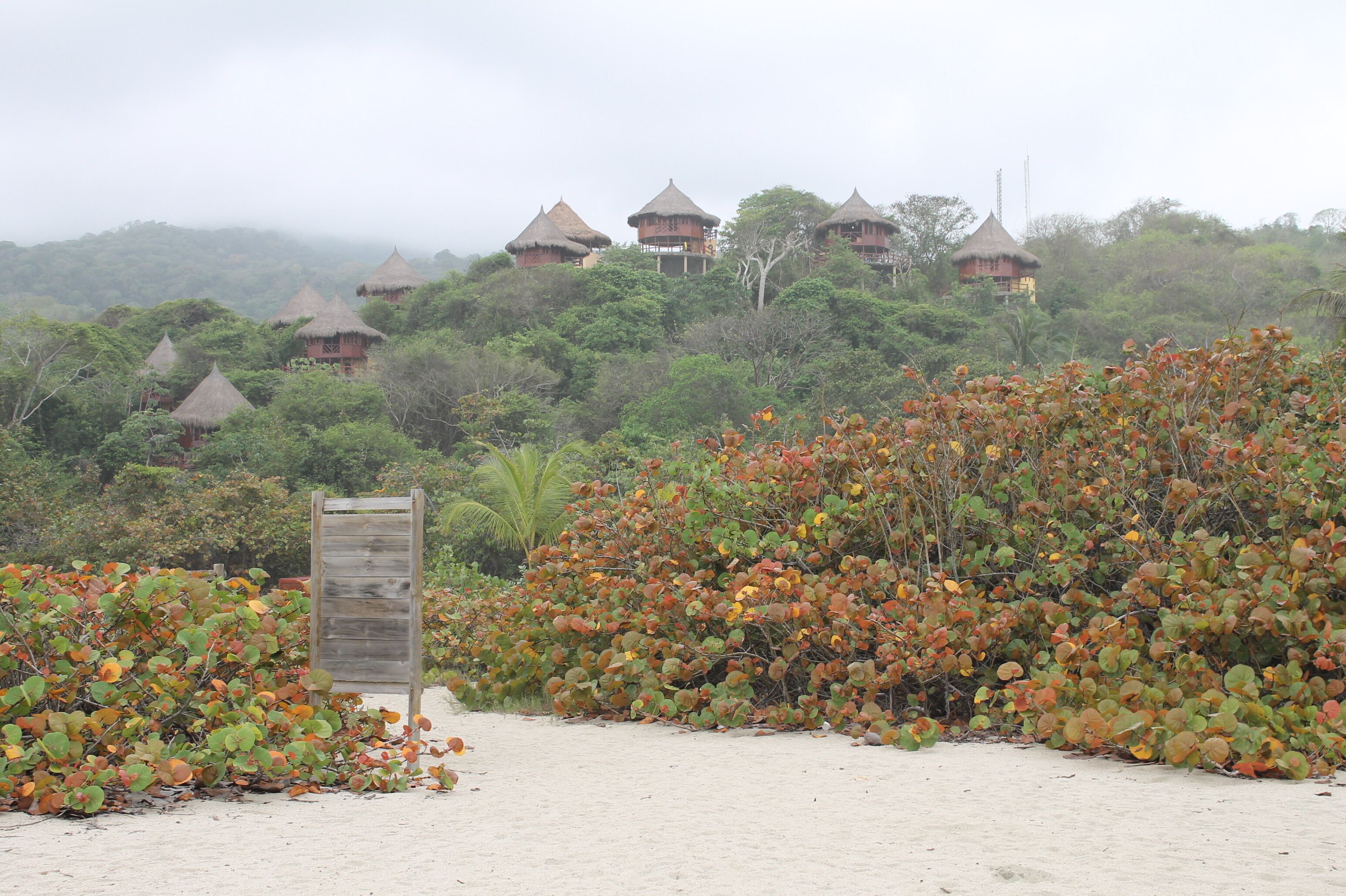 on the beach, white sand, sun-loungers, beach umbrellas