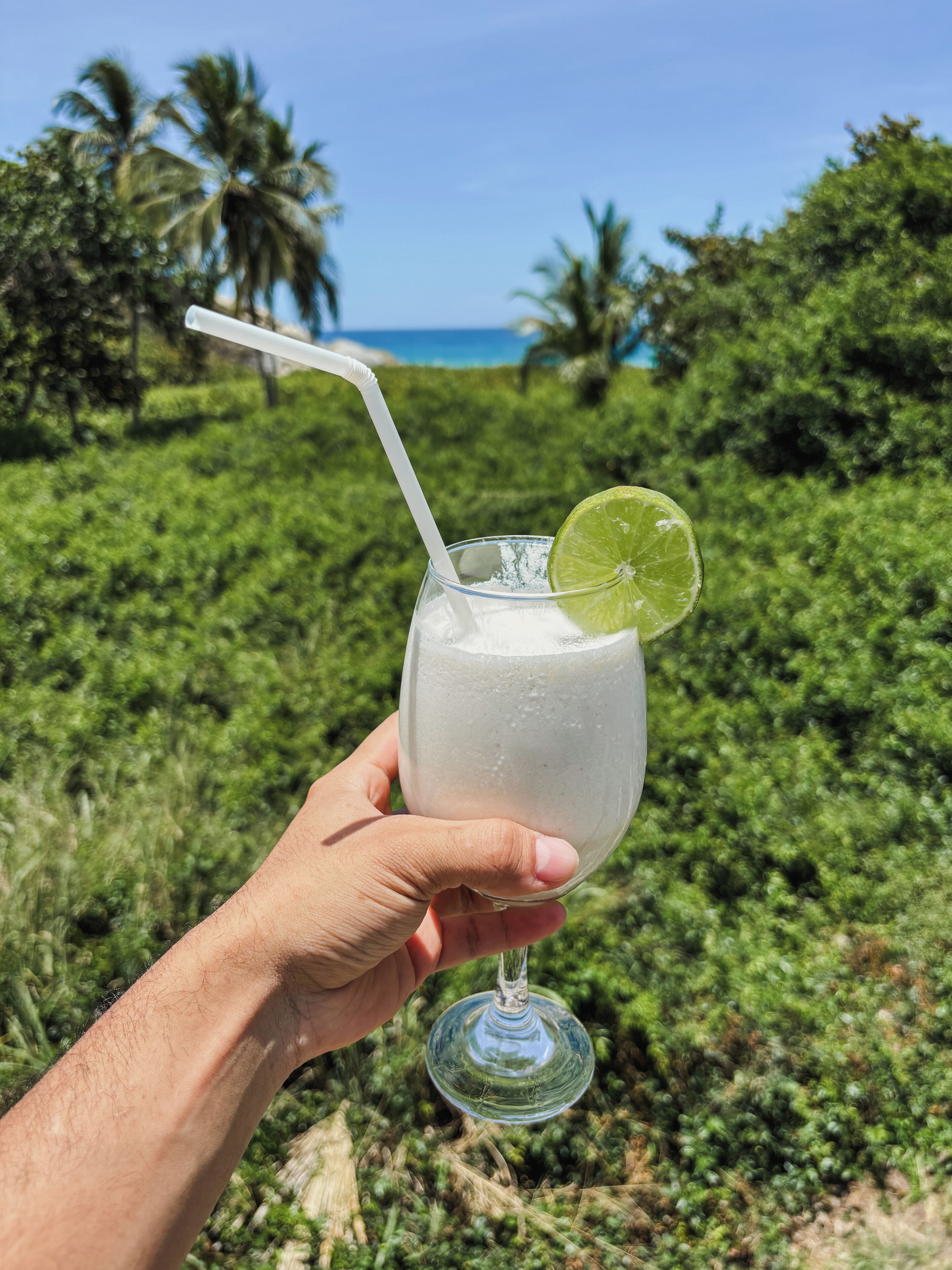 A hand holding a glass with a straw and a lime slice, set against a tropical background with greenery and a clear sky.