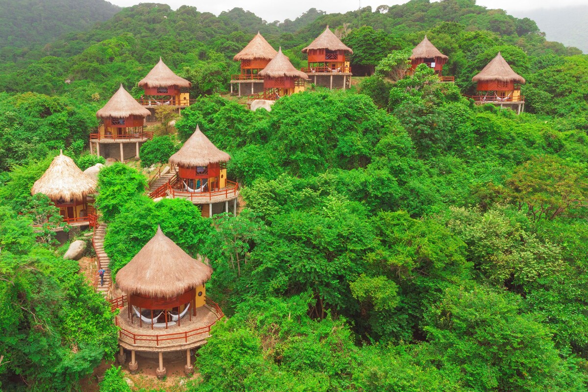 Una serie de cabañas con techo de paja ubicadas en un bosque frondoso, unidas por pasarelas de madera.