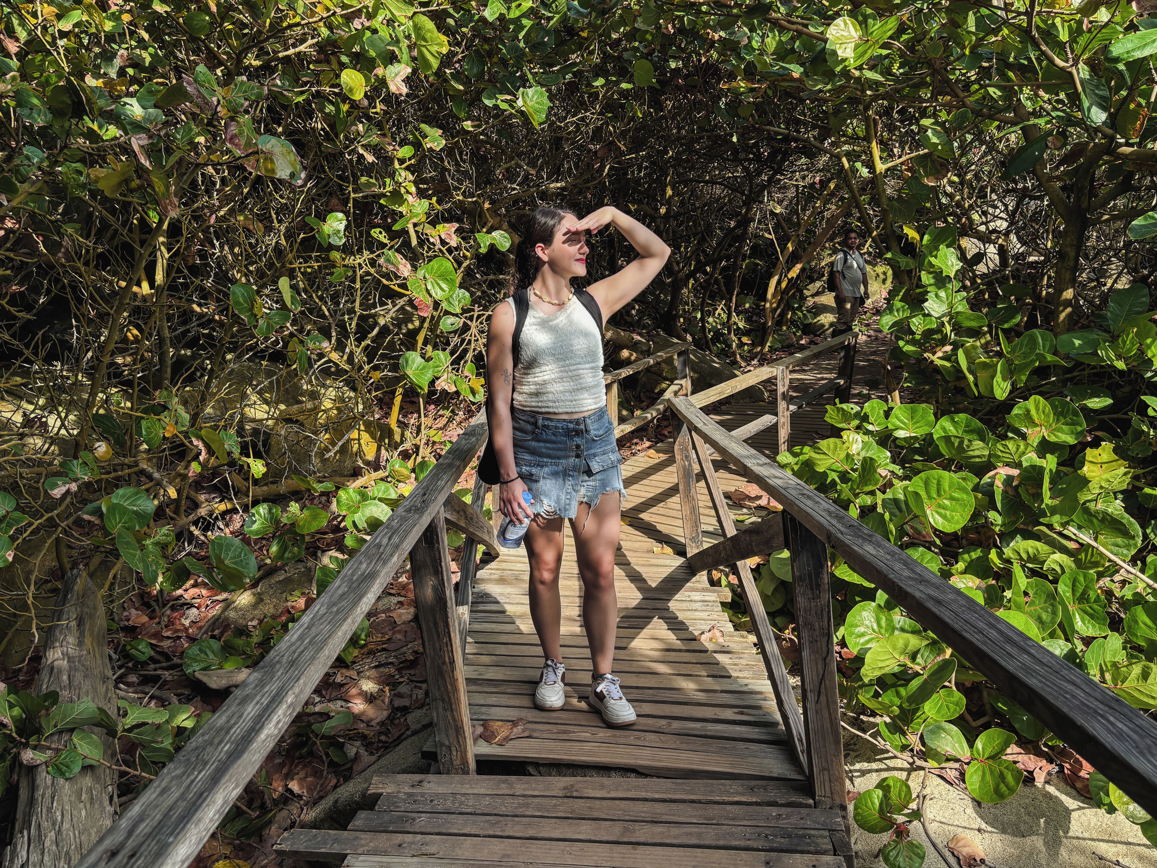 A person standing on a wooden bridge surrounded by dense foliage.