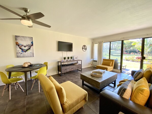 Smart TV, DVD player, books