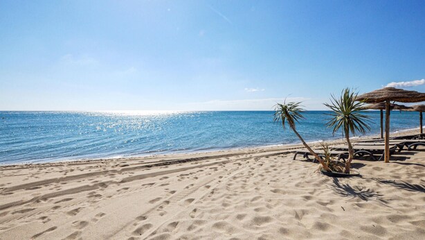 Une plage avec une eau d’un bleu limpide, un rivage sablonneux et des palmiers.