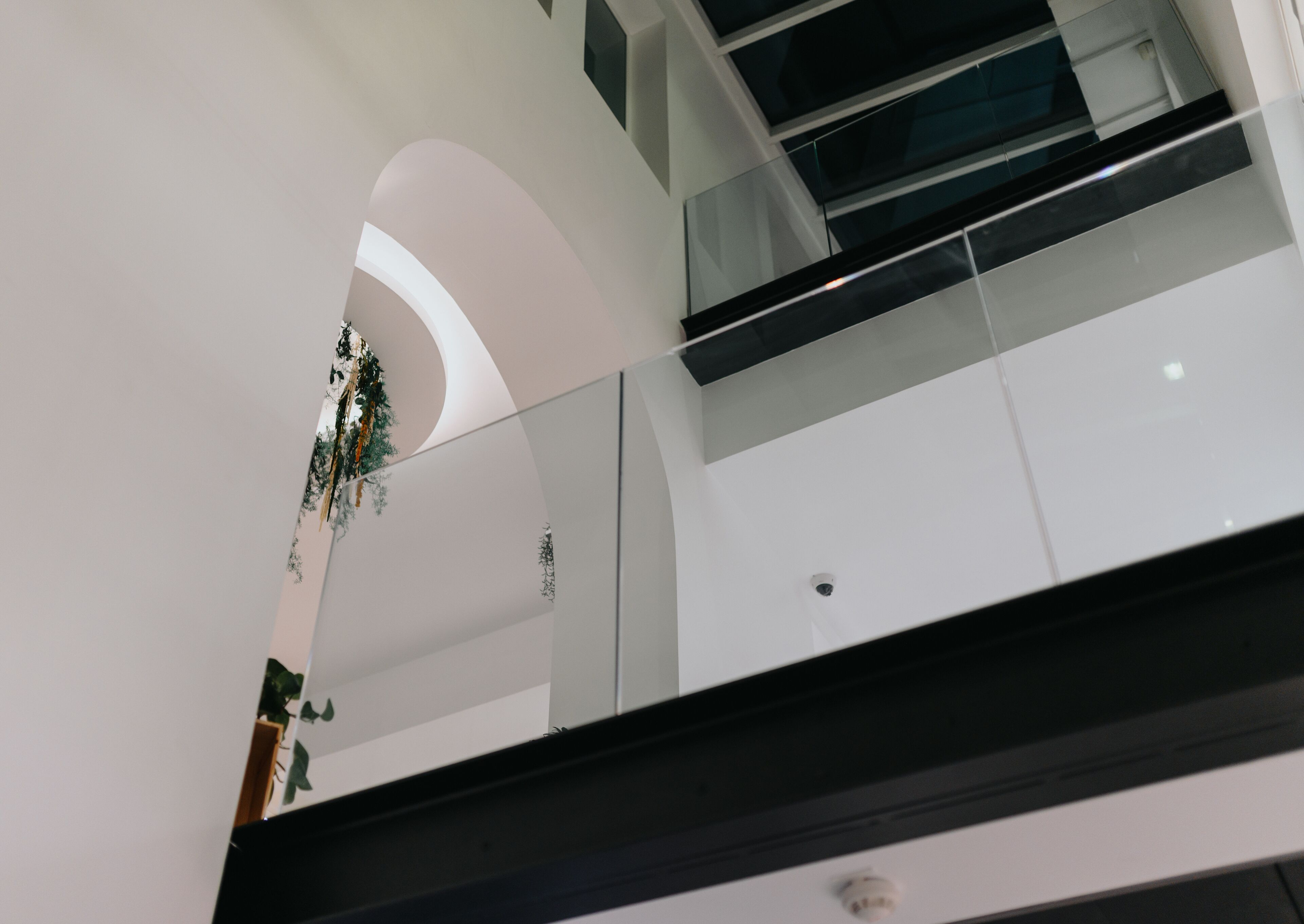 A modern interior with a glass railing, a curved white wall, and a plant.